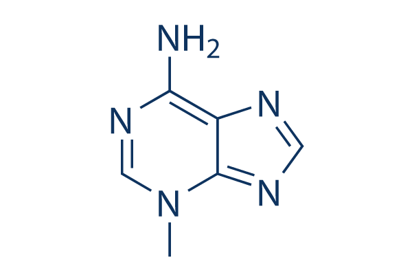 3-Methyladenine (3-MA)   cas:5142-23-4