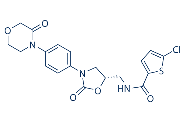 Rivaroxaban    cas:366789-02-8