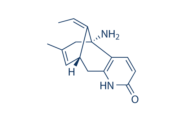 Huperzine A     CAS：102518-79-6