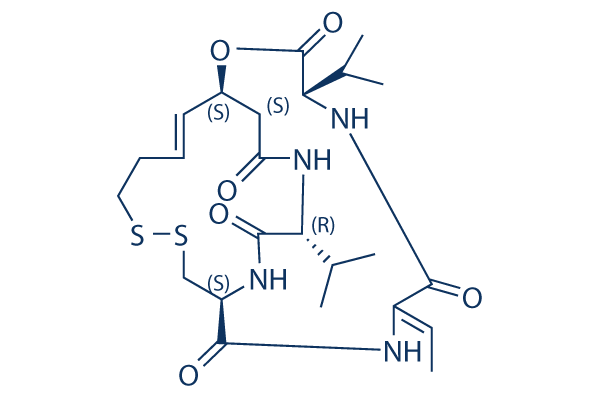 Romidepsin (FK228, Depsipeptide)  cas:128517-07-7