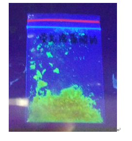 5(6)aminefluorescein-Alginate 