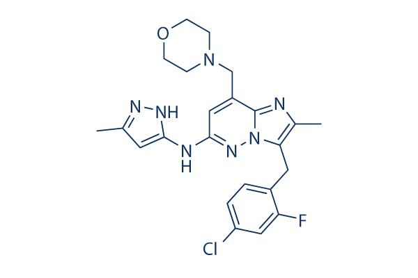 Gandotinib (LY2784544)   CAS:1229236-86-5