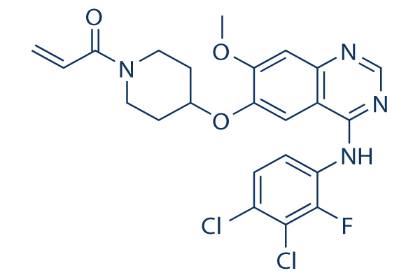 Poziotinib (HM781-36B)   CAS：1092364-38-9