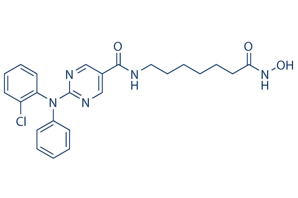 Citarinostat (ACY-241)   CAS：1316215-12-9