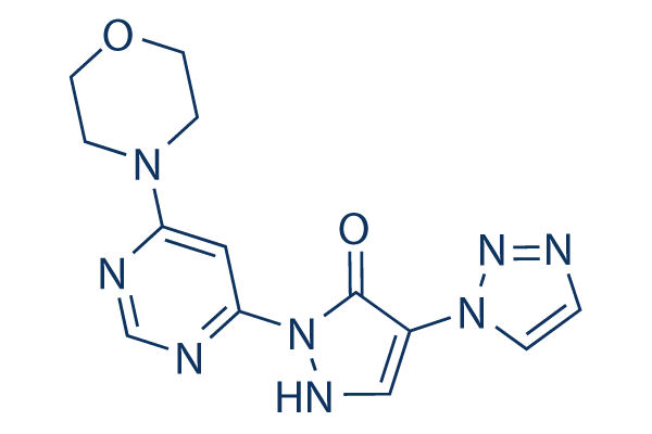 Molidustat(BAY85-3934)   CAS:1154028-82-6