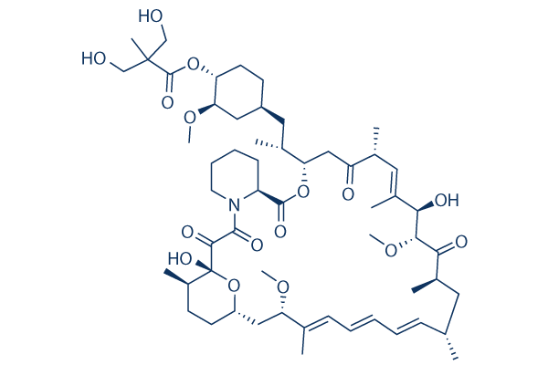 temsirolimus (CCI-779)    CAS：162635-04-3