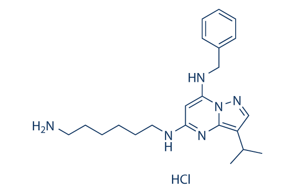 BS-181    CAS:1397219-81-6 