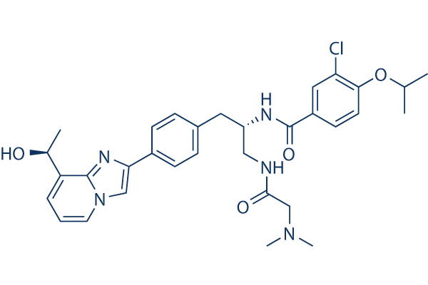 GSK923295    Cytoskeletal Signaling