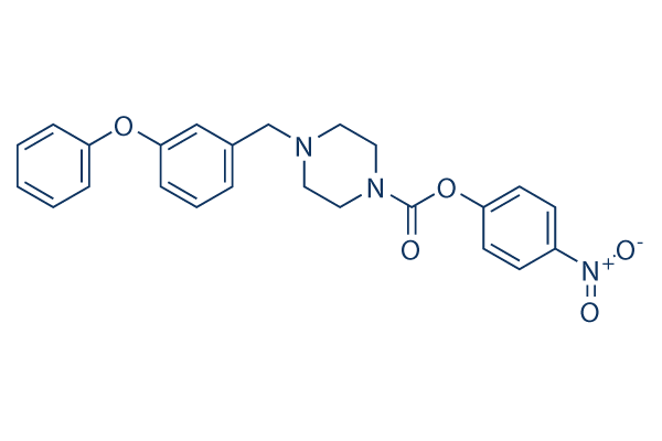 JZL-195    CAS:1210004-12-8