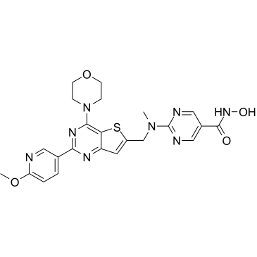 Fimepinostat (CUDC-907)    CAS：1339928-25-4 