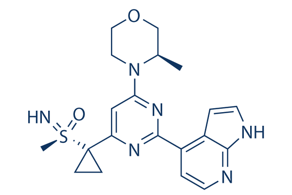 Ceralasertib (AZD6738)  CAS:1352226-88-0 