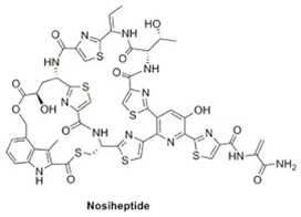 Nosiheptide    CAS:56377-79-8 