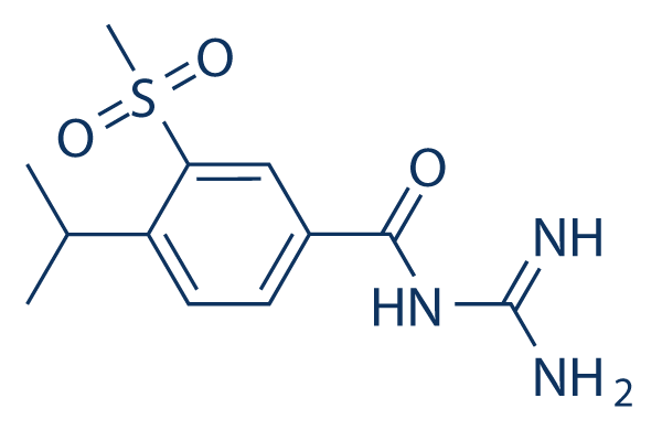 Cariporide   CAS:159138-80-4 