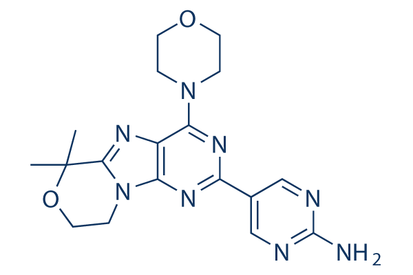 Paxalisib (GDC-0084)   CAS:1382979-44-3