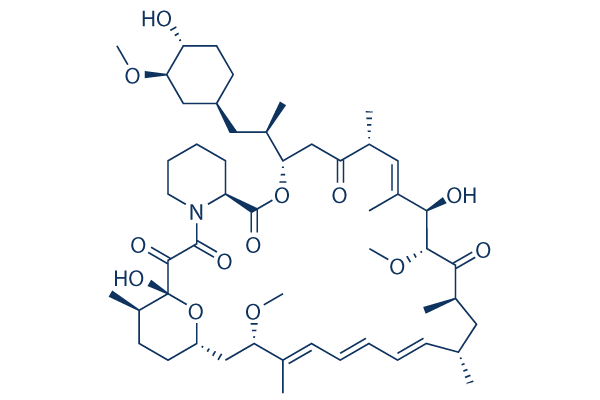 Rapamycin (Sirolimus)     CAS:53123-88-9