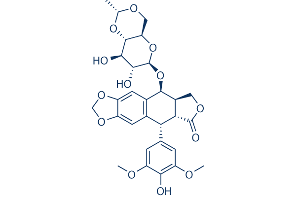 Etoposide     CAS:33419-42-0 