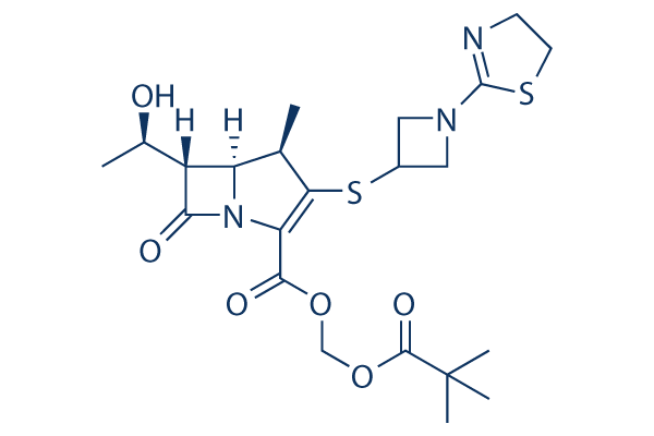 Tebipenem pivoxil     CAS：161715-24-8