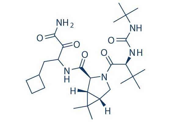 Boceprevir (SCH-503034)   CAS:394730-60-0