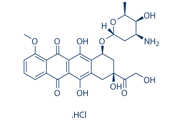 Doxorubicin (Adriamycin) HCl   CAS:25316-40-9