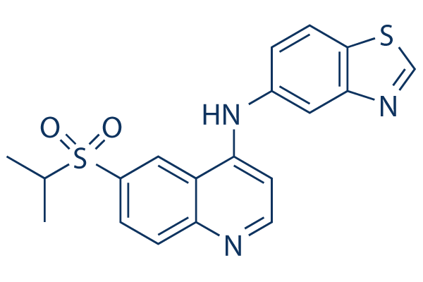 GSK872     CAS：1346546-69-7 