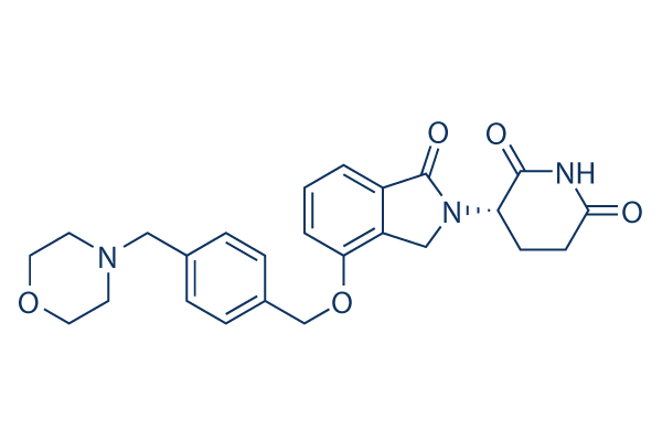 Iberdomide (CC220)  CAS:1323403-33-3 