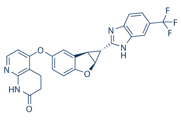 Lifirafenib (BGB-283)    CAS：1446090-79-4