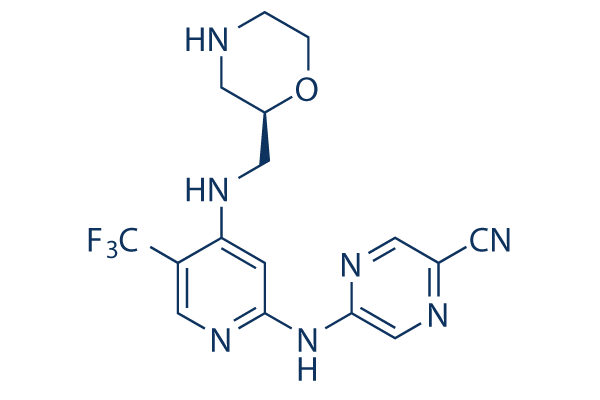 CCT245737     CAS：1489389-18-5