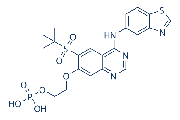 GSK2983559 FREE ACID    CAS:1579965-12-0