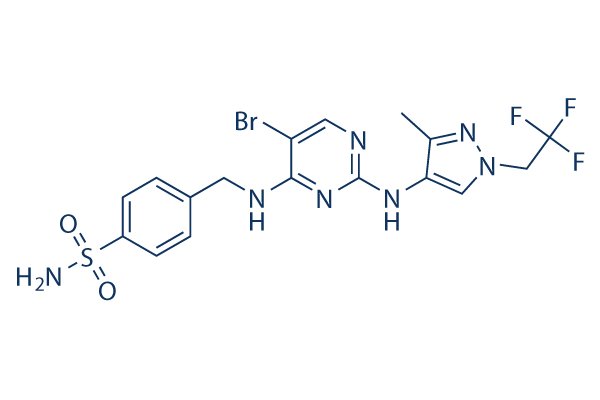 GSK8612   CAS：2361659-62-1