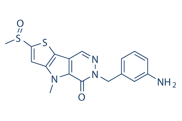 TEPP-46 (ML265)    CAS:1221186-53-3