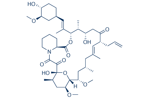 Tacrolimus (FK506)   CAS:104987-11-3