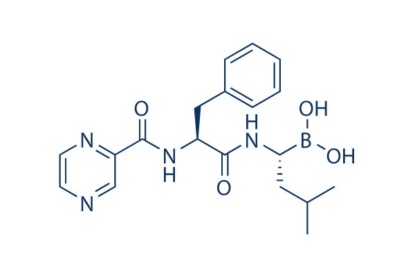 Bortezomib      CAS:179324-69-7