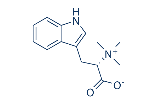 Hypaphorine   CAS:487-58-1