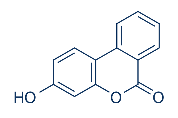 Urolithin B   CAS:1139-83-9