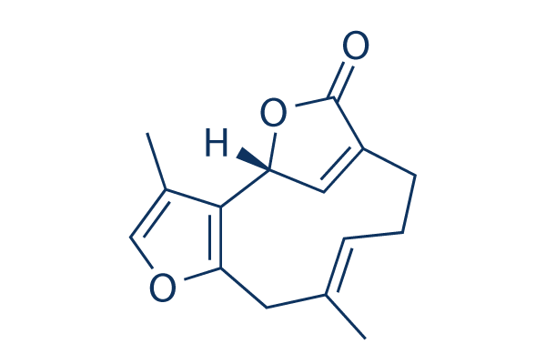 Linderalactone      CAS:728-61-0