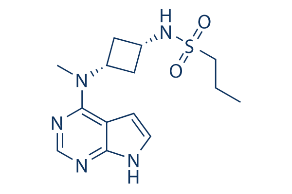 Abrocitinib (PF-04965842)  CAS:1622902-68-4