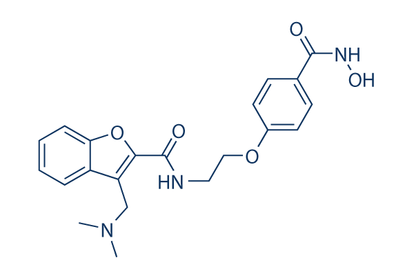 Abexinostat (PCI-24781)  CAS: 783355-60-2 