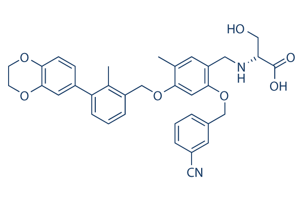 BMS-1001     CAS: 2113650-03-4