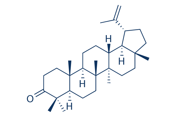 Lupenone   CAS:1617-70-5