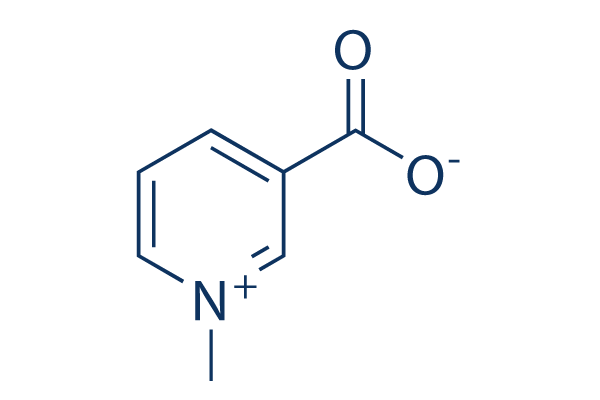 Trigonelline     CAS： 535-83-1