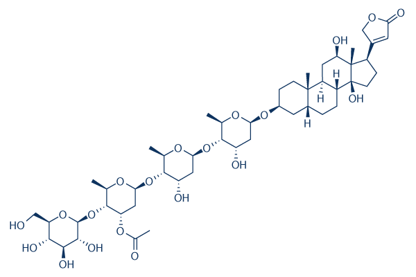 Lanatoside C    CAS：17575-22-3