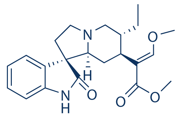 Rhynchophylline    CAS:76-66-4