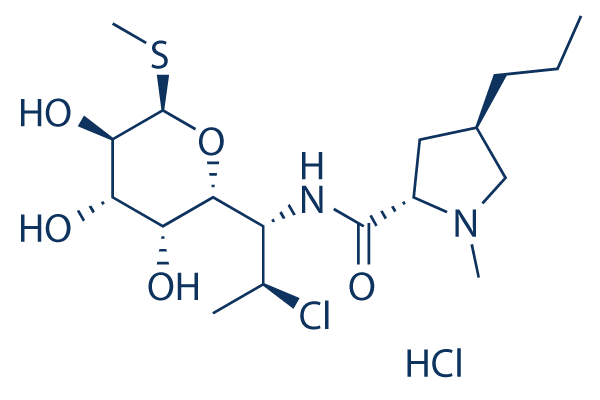 Clindamycin HCl    CAS: 21462-39-5