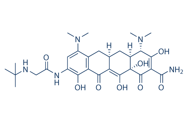 Tigecycline (GAR-936)   CAS:220620-09-7 