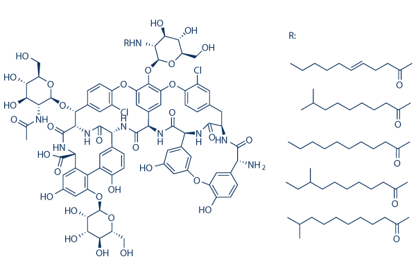 Teicoplanin   CAS:61036-62-2 