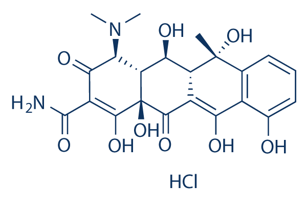 Oxytetracycline hydrochloride   CAS:2058-46-0 