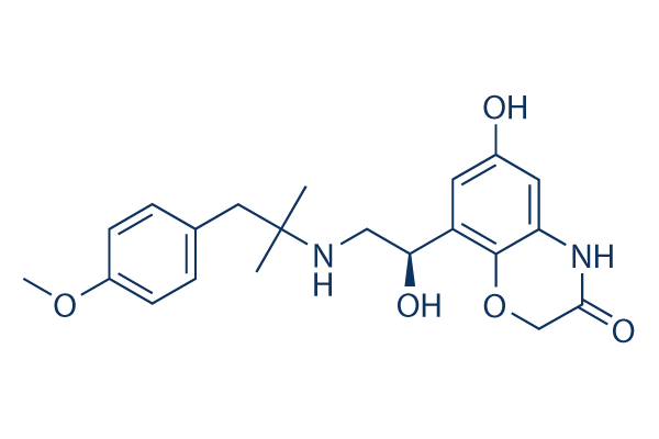 Olodaterol (BI 1744)  CAS:868049-49-4