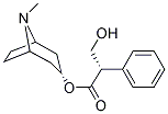 Hyoscyamine    CAS:101-31-5