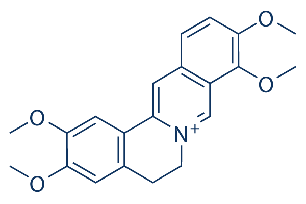 Palmatine     CAS:3486-67-7 