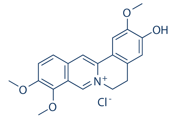 Jatrorrhizine chloride    CAS:6681-15-8 